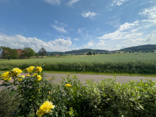 Ausblick gen S�den Bereits verkauft - Gro�z�giges Ein- bis Zweifamilienhaus mit h�bschem Grundst�ck