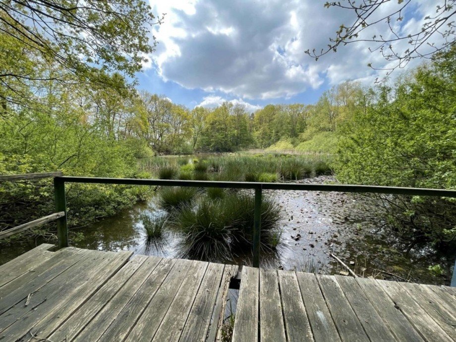 Teich Einfamilienhaus Minden