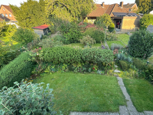 H�bsch angelegtes Grundst�ck Verkauft: Reihenendhaus in zentraler Lage