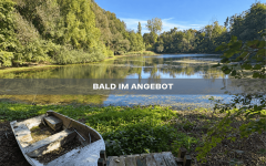 Hauptbild Bald im Angebot: Freizeitgrundst�ck mit Teich und Baumbestand