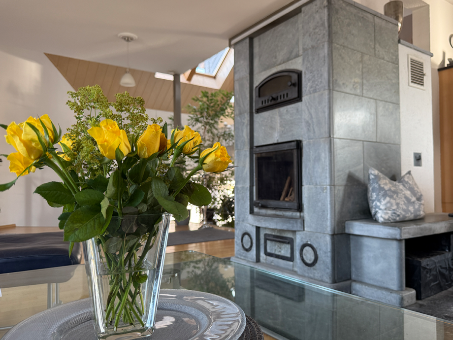 Effizienter Specksteinofen Einfamilienhaus Minden