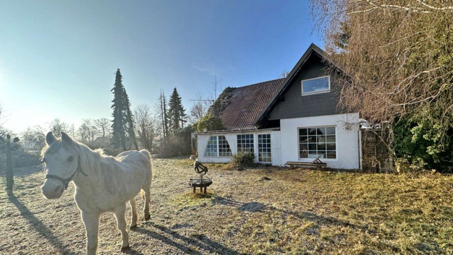 1 Einfamilienhaus Petershagen / Friedewalde