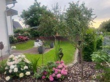 Vorgarten am Eingangsbereich Ansprechendes Einfamilienhaus mit extra viel Platz auf rund 245 m�