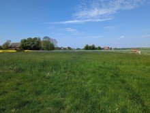 Wiese Sanierungsbed�rftiges Einfamilienhaus mit riesigem Grundst�ck